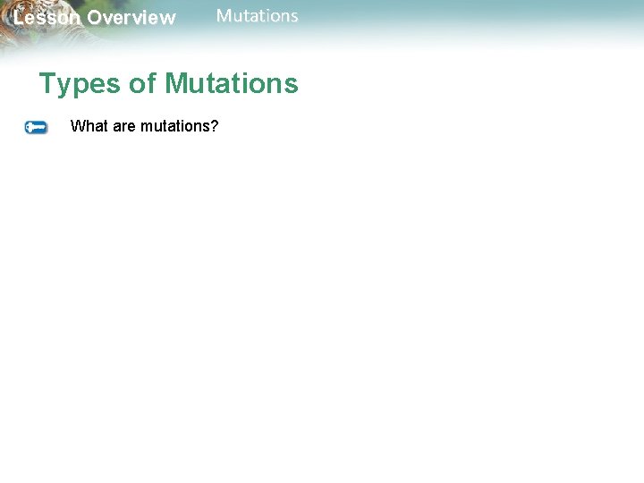 Lesson Overview Mutations Types of Mutations What are mutations? 