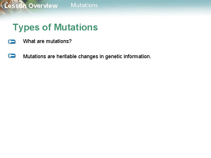 Lesson Overview Mutations Types of Mutations What are mutations? Mutations are heritable changes in