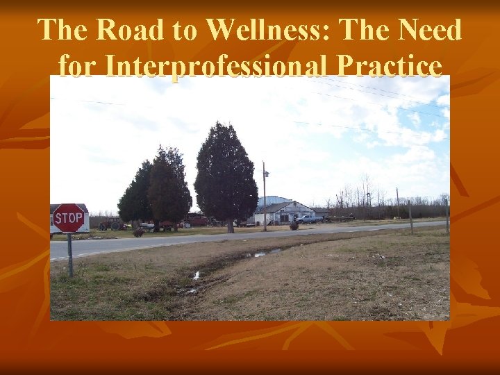 The Road to Wellness: The Need for Interprofessional Practice 