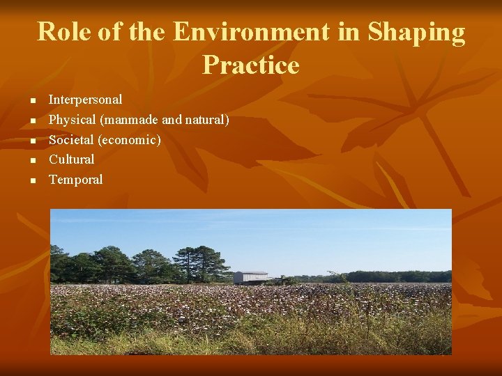 Role of the Environment in Shaping Practice n n n Interpersonal Physical (manmade and