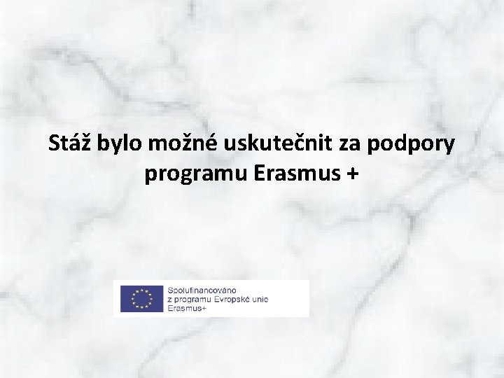 Stáž bylo možné uskutečnit za podpory programu Erasmus + 