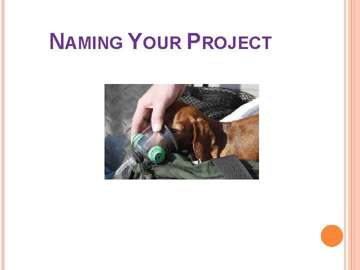 NAMING YOUR PROJECT 