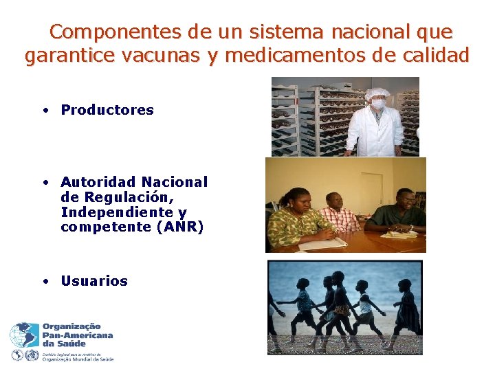 Componentes de un sistema nacional que garantice vacunas y medicamentos de calidad • Productores