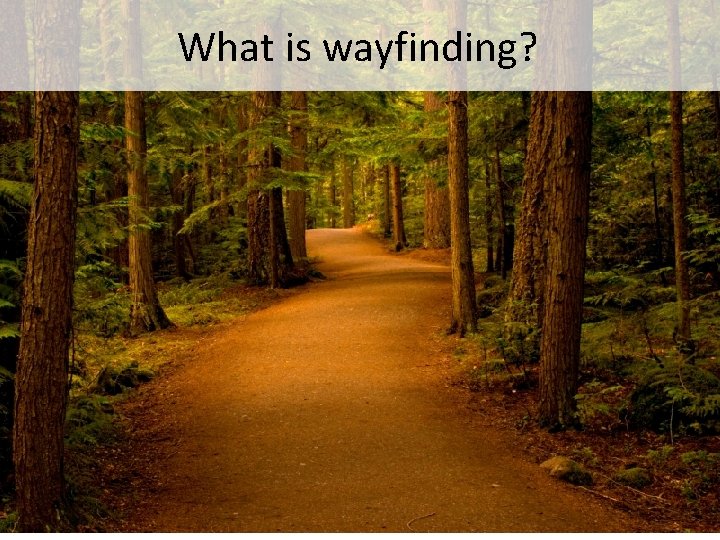 What is wayfinding? 