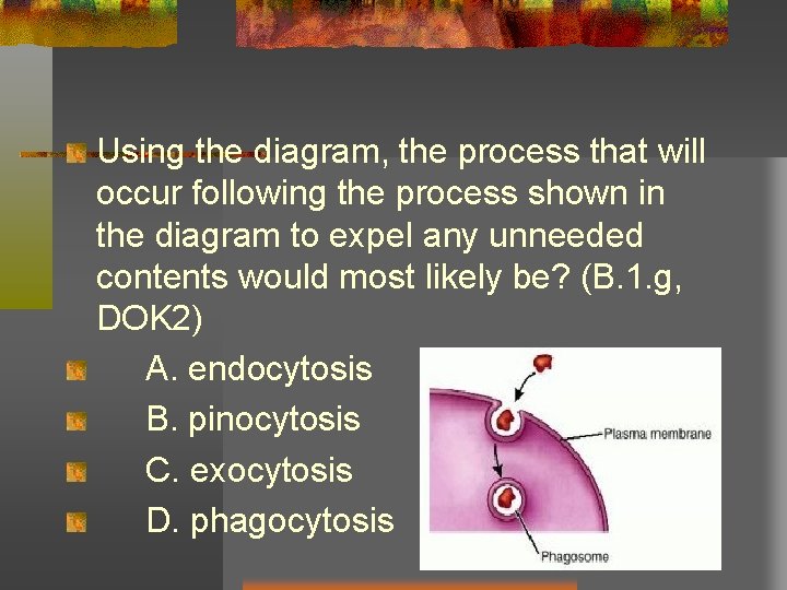 Using the diagram, the process that will occur following the process shown in the