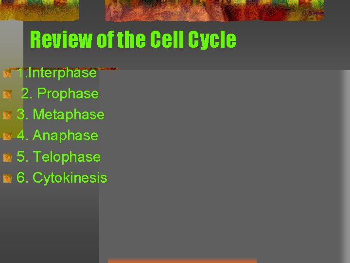 Review of the Cell Cycle 1. Interphase 2. Prophase 3. Metaphase 4. Anaphase 5.