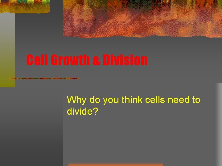 Cell Growth & Division Why do you think cells need to divide? 