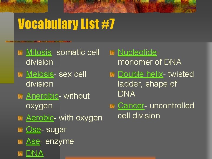 Vocabulary List #7 Mitosis- somatic cell division Meiosis- sex cell division Anerobic- without oxygen