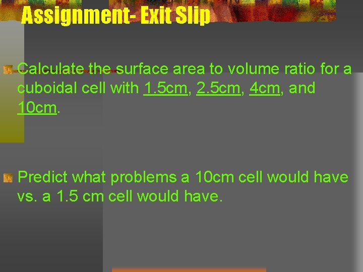 Assignment- Exit Slip Calculate the surface area to volume ratio for a cuboidal cell