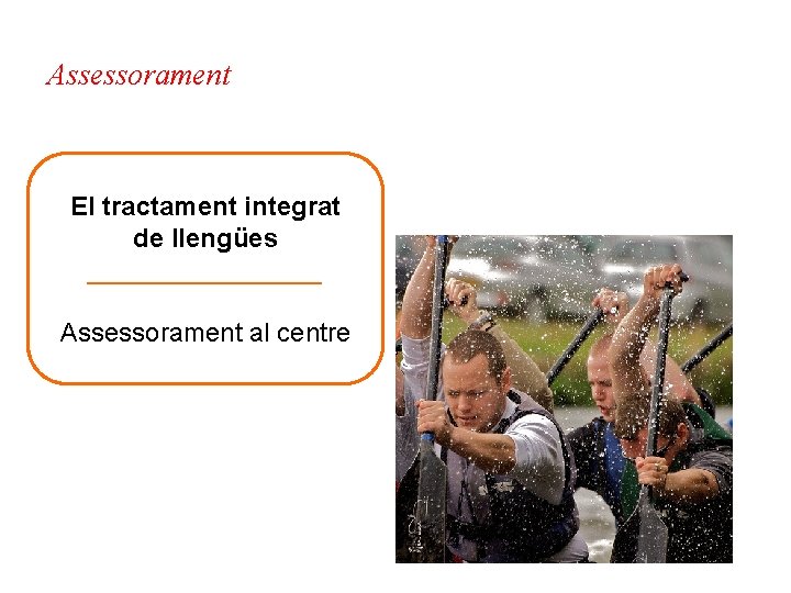 Assessorament El tractament integrat de llengües ________ Assessorament al centre 