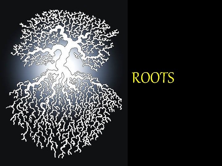 ROOTS 