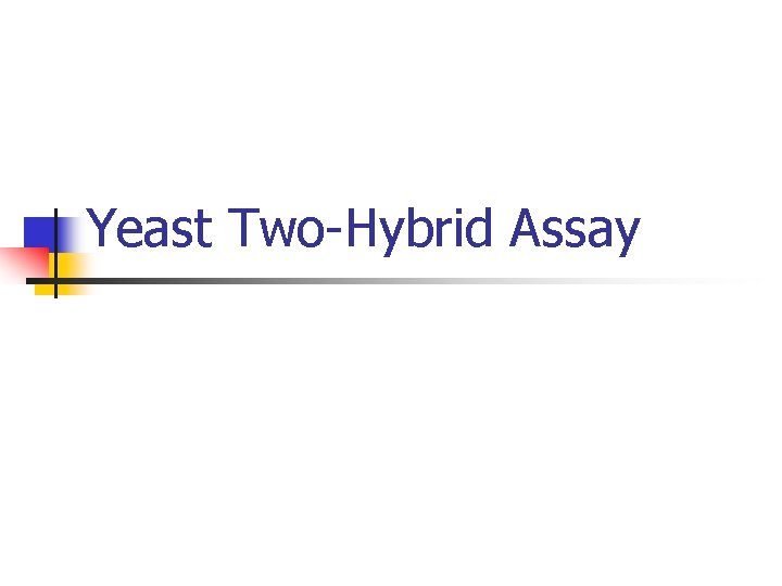 Yeast Two-Hybrid Assay 