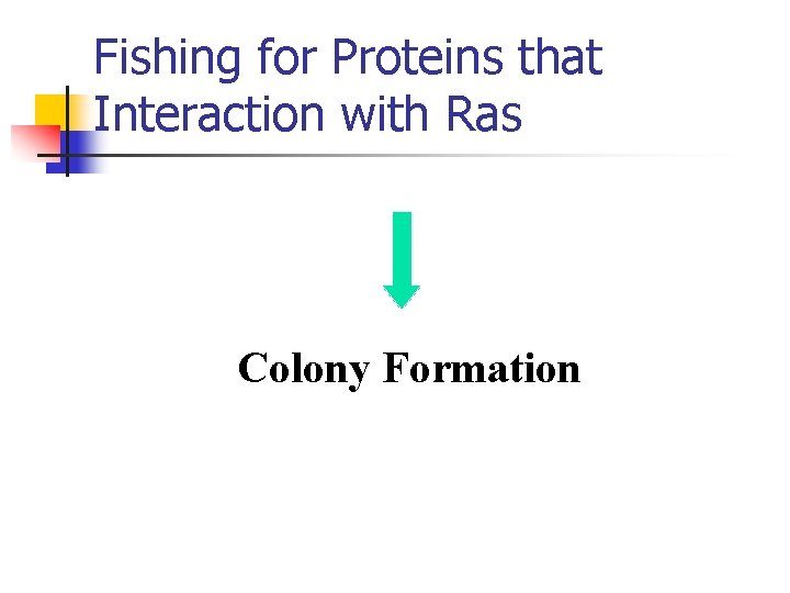 Fishing for Proteins that Interaction with Ras Colony Formation 