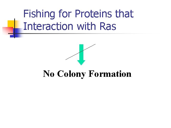 Fishing for Proteins that Interaction with Ras No Colony Formation 