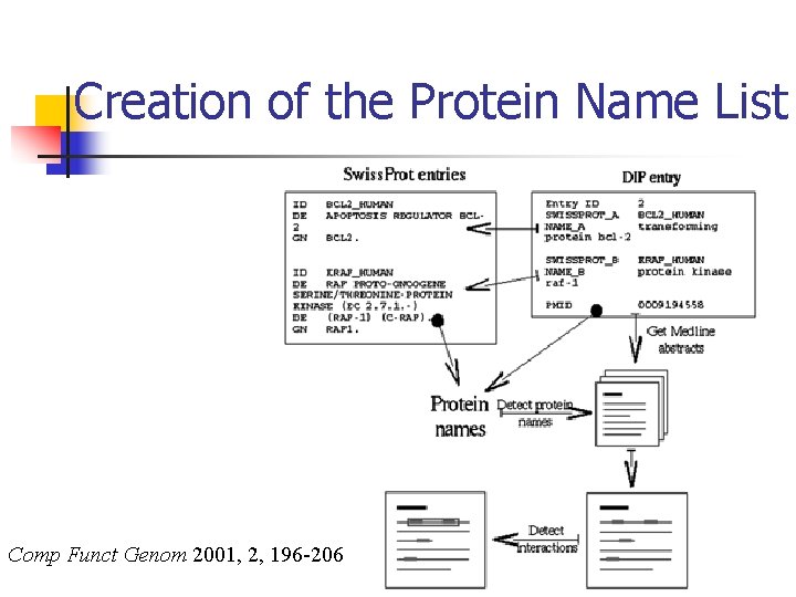 Creation of the Protein Name List Comp Funct Genom 2001, 2, 196 -206 