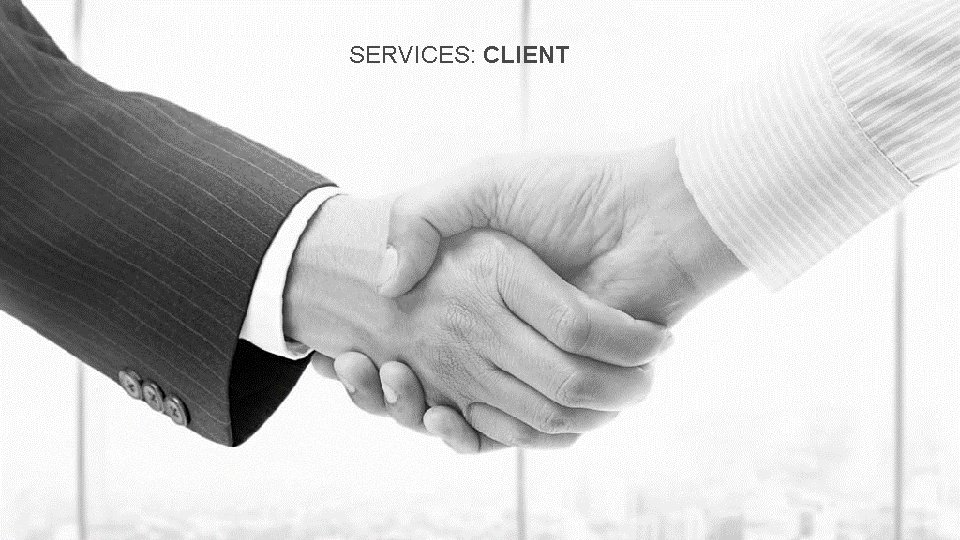 SERVICES: CLIENT 