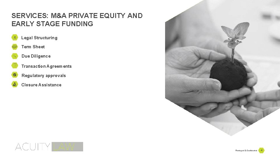 SERVICES: M&A PRIVATE EQUITY AND EARLY STAGE FUNDING Legal Structuring Term Sheet Due Diligence