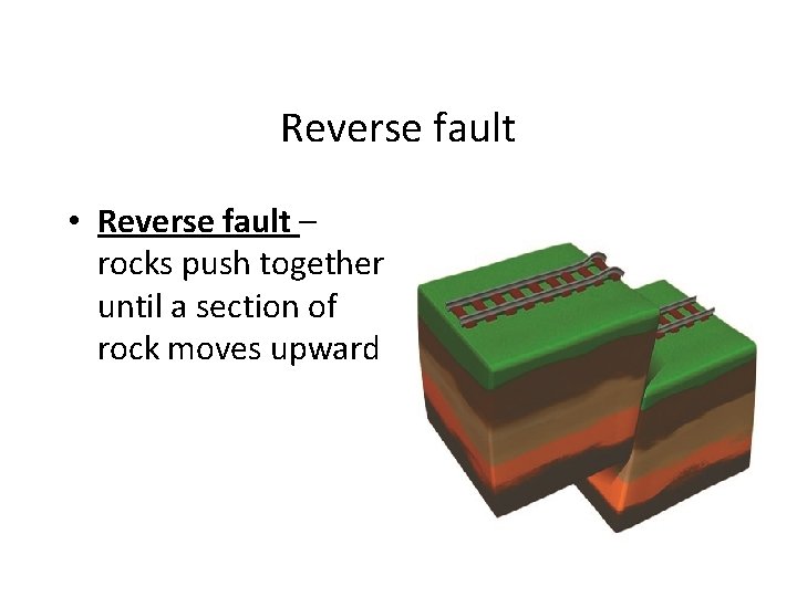 Reverse fault • Reverse fault – rocks push together until a section of rock