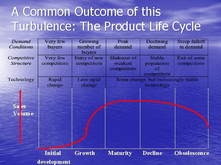 A Common Outcome of this Turbulence: The Product Life Cycle Sales Volume Initial Growth