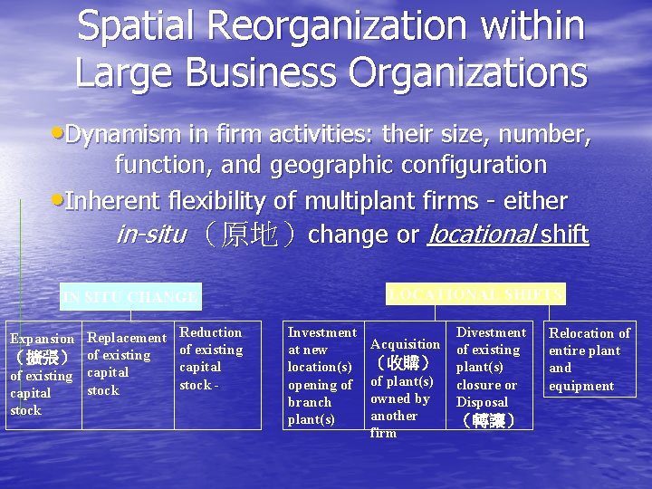 Spatial Reorganization within Large Business Organizations • Dynamism in firm activities: their size, number,