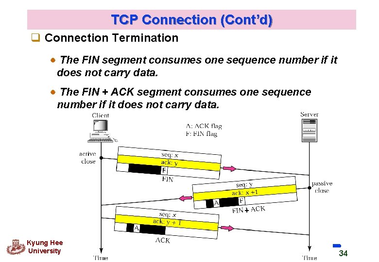 TCP Connection (Cont’d) q Connection Termination The FIN segment consumes one sequence number if