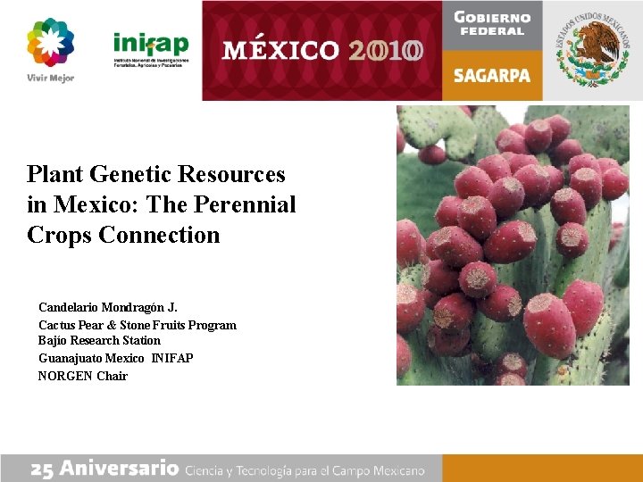 Plant Genetic Resources in Mexico: The Perennial Crops Connection Candelario Mondragón J. Cactus Pear