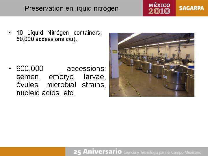 Preservation en líquid nitrógen • 10 Líquid Nitrógen containers; 60, 000 accessions c/u). •