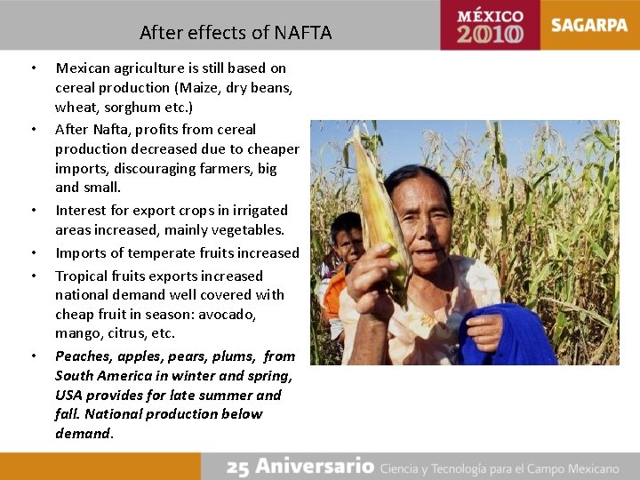 After effects of NAFTA • • • Mexican agriculture is still based on cereal