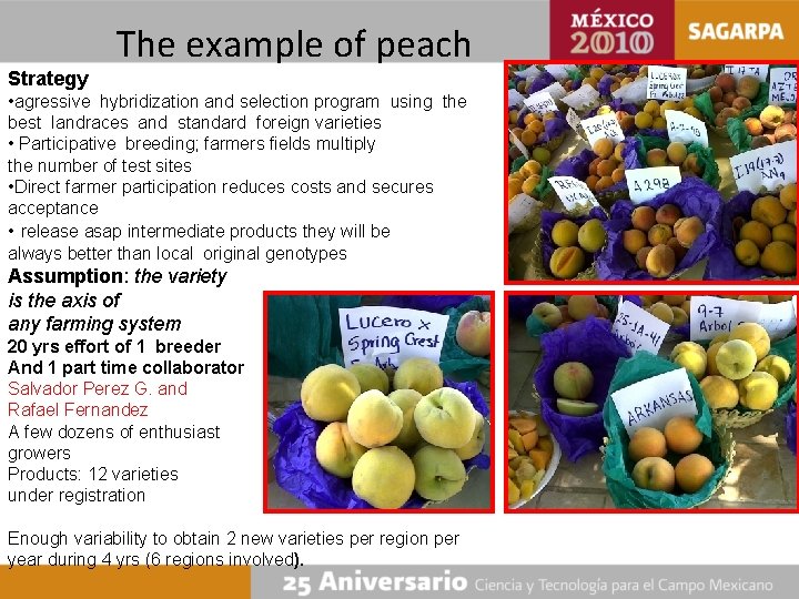 The example of peach Strategy • agressive hybridization and selection program using the best
