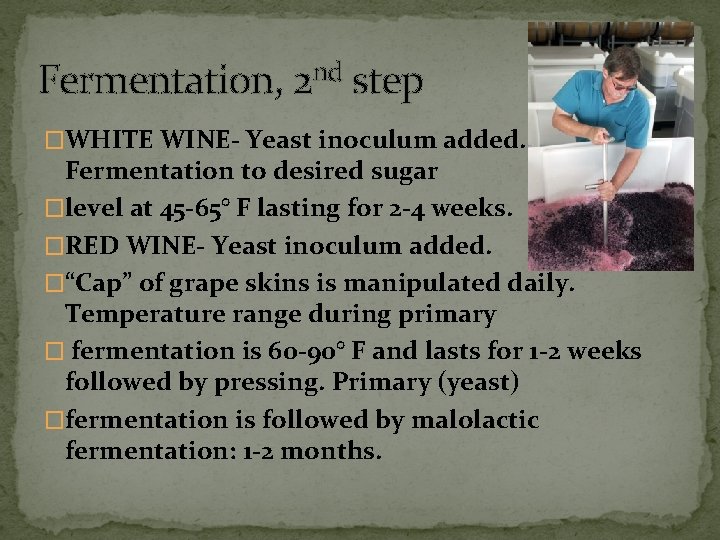Fermentation, 2 nd step �WHITE WINE- Yeast inoculum added. Fermentation to desired sugar �level