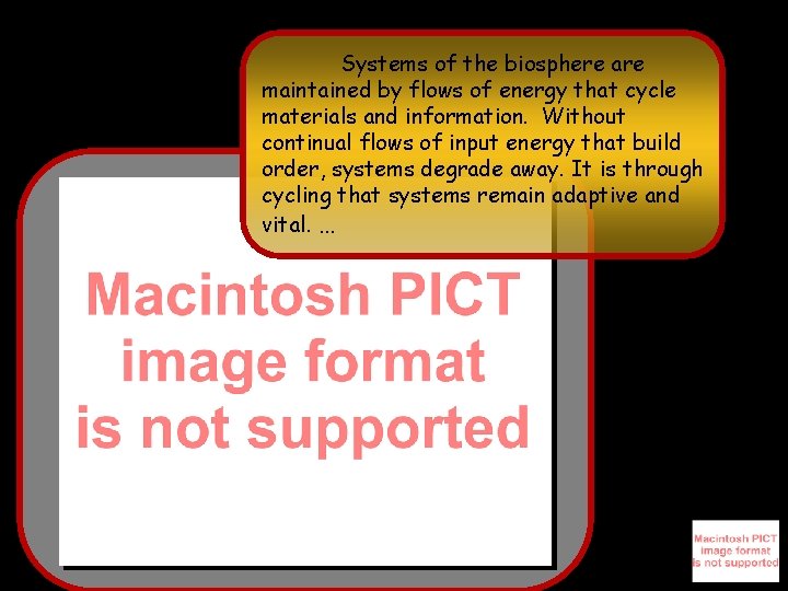 Systems of the biosphere are maintained by flows of energy that cycle materials and