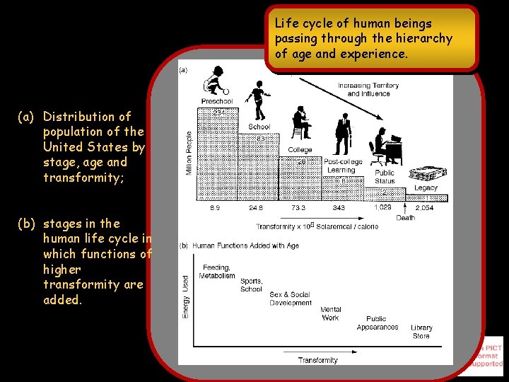 Life cycle of human beings passing through the hierarchy of age and experience. (a)
