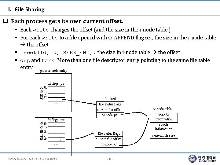 I. File Sharing Each process gets its own current offset. § Each write changes