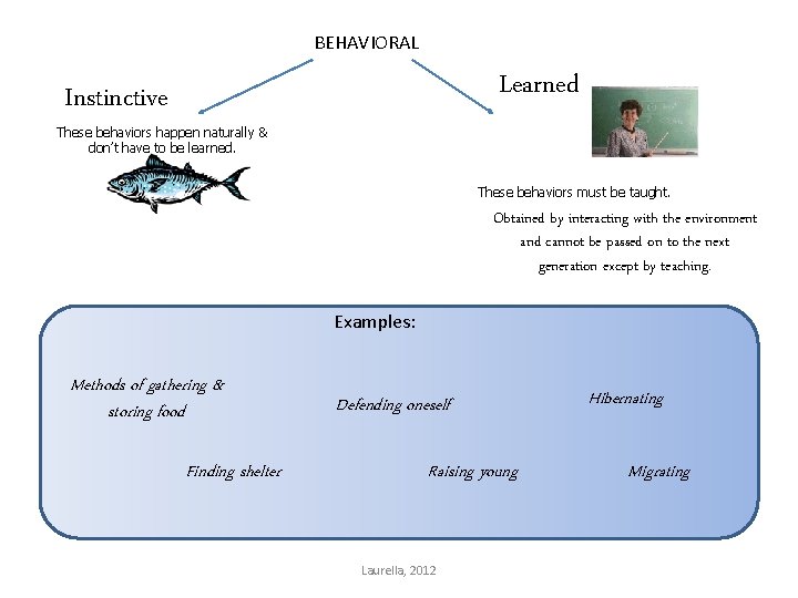 BEHAVIORAL Learned Instinctive These behaviors happen naturally & don’t have to be learned. These