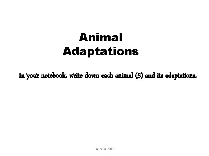 Animal Adaptations In your notebook, write down each animal (5) and its adaptations. Laurella,