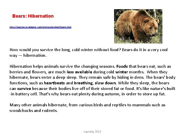 Bears: Hibernation http: //teacher. scholastic. com/dirtrep/animal/bears. htm How would you survive the long, cold