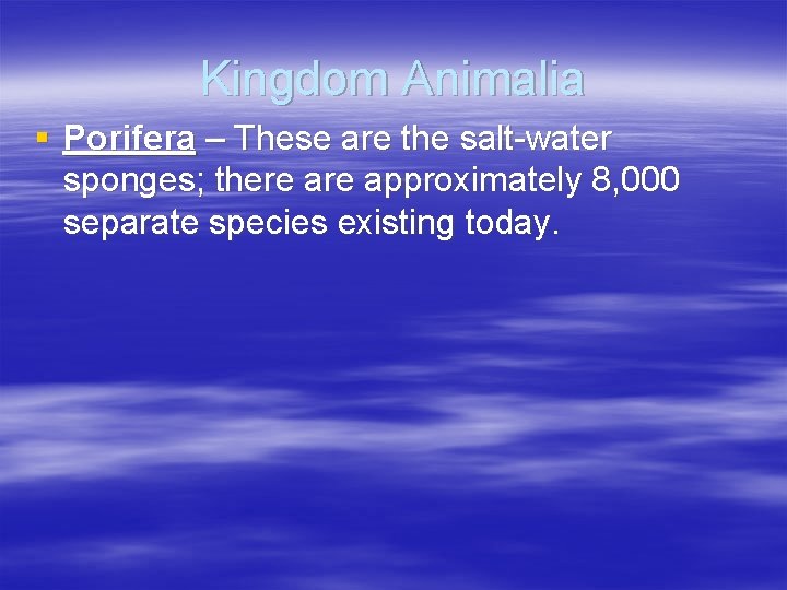 Kingdom Animalia § Porifera – These are the salt-water sponges; there approximately 8, 000
