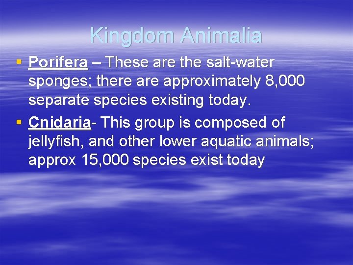 Kingdom Animalia § Porifera – These are the salt-water sponges; there approximately 8, 000