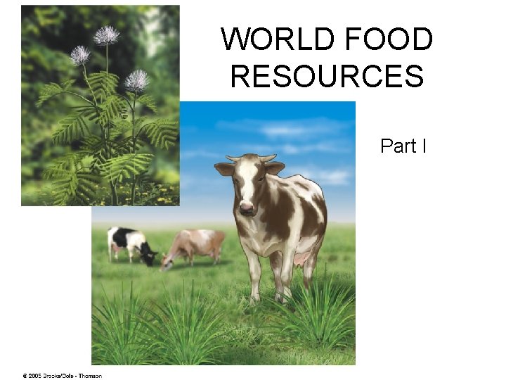 WORLD FOOD RESOURCES Part I 