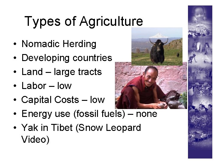 Types of Agriculture • • Nomadic Herding Developing countries Land – large tracts Labor