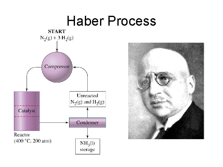 Haber Process 