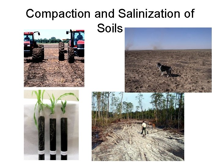 Compaction and Salinization of Soils 