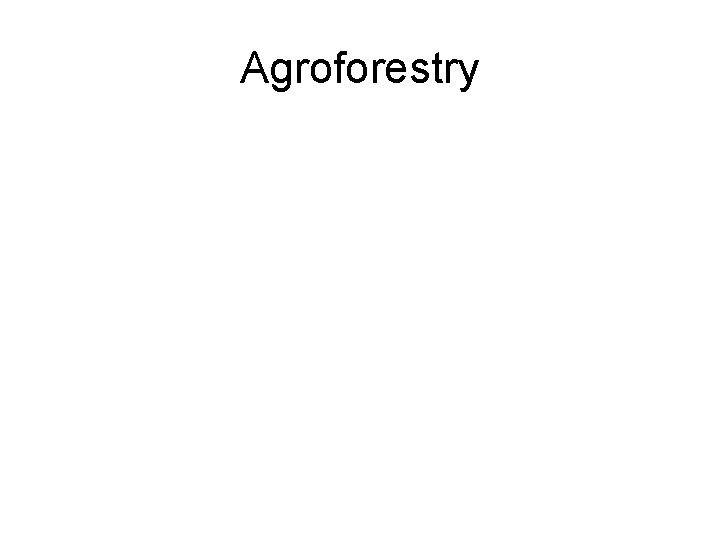 Agroforestry 