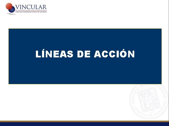 LÍNEAS DE ACCIÓN 