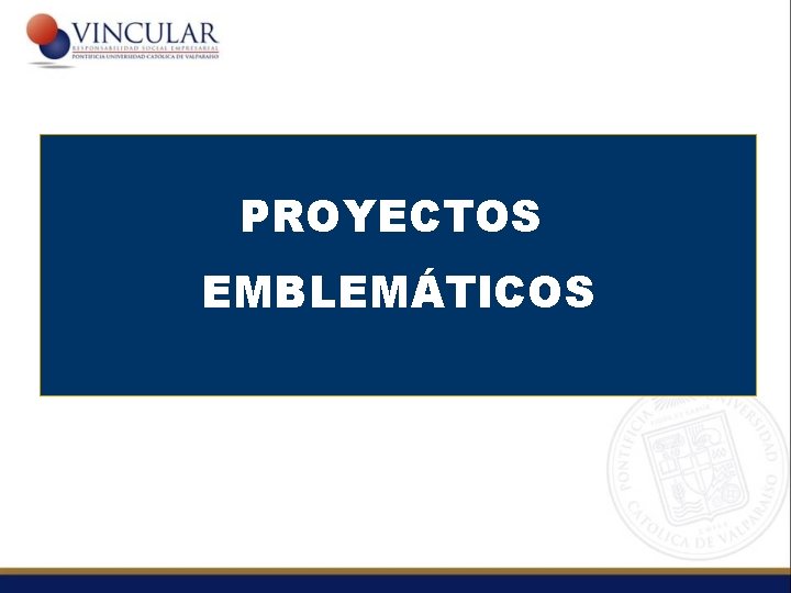 PROYECTOS EMBLEMÁTICOS 