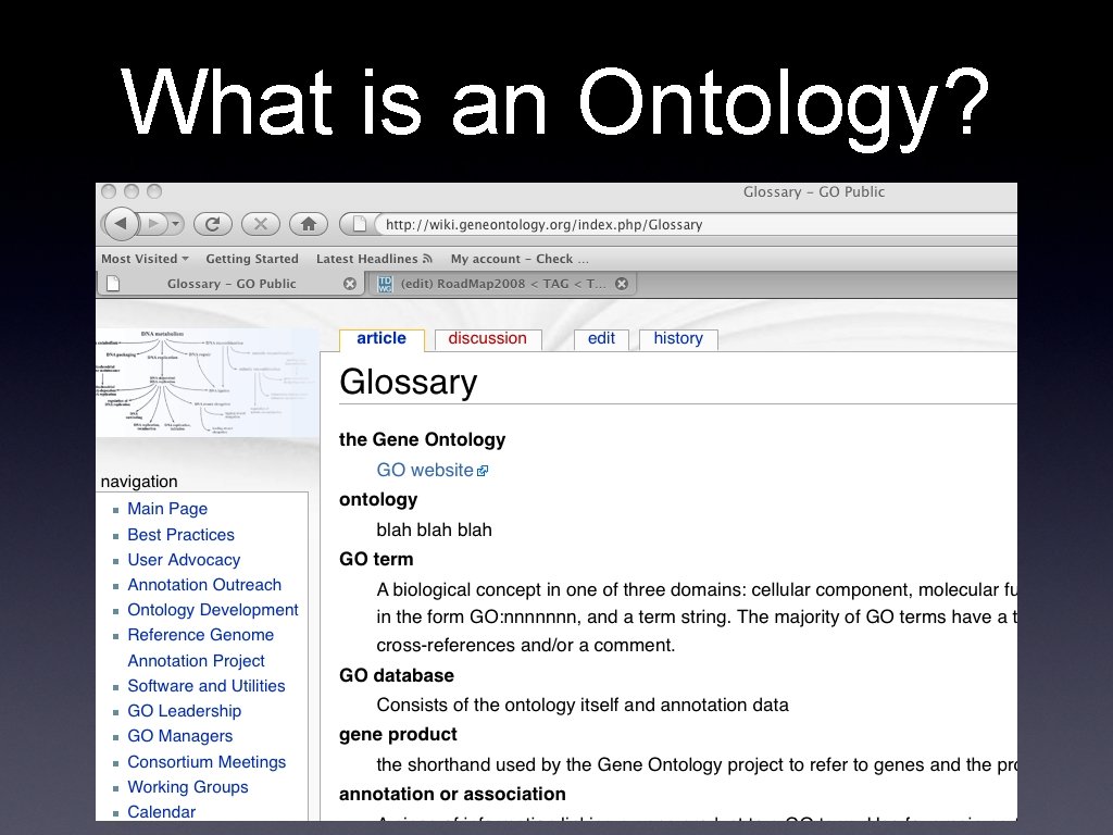 What is an Ontology? 