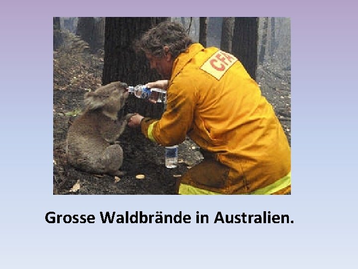 Grosse Waldbrände in Australien. 