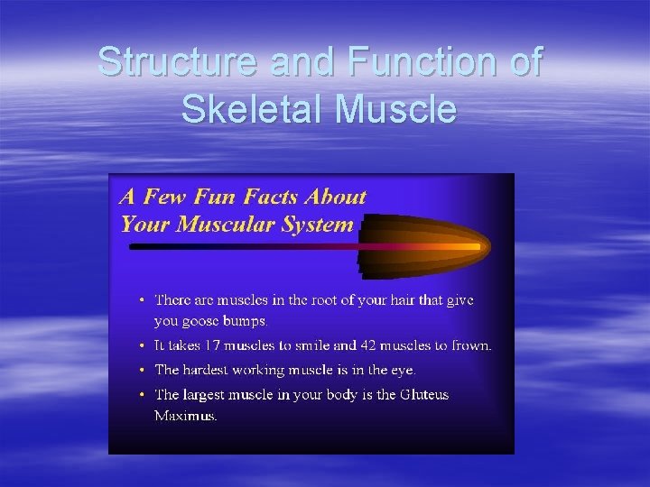 Structure and Function of Skeletal Muscle 