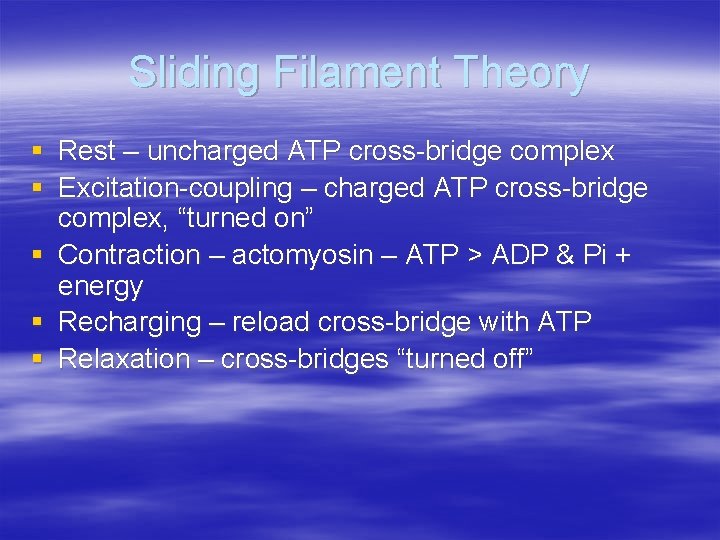 Sliding Filament Theory § Rest – uncharged ATP cross-bridge complex § Excitation-coupling – charged