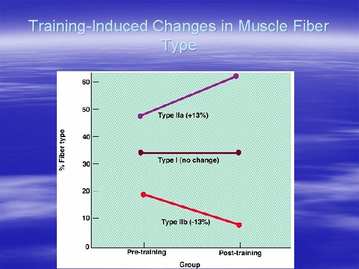 Training-Induced Changes in Muscle Fiber Type 